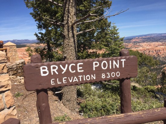 Bryce Point