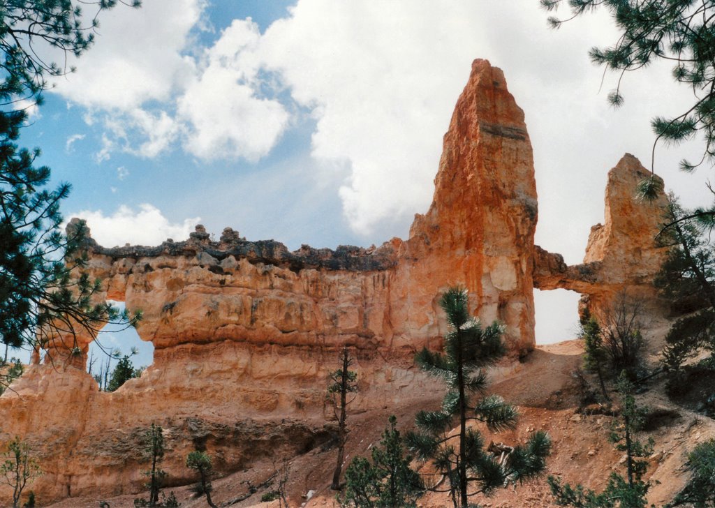FairyLand Point