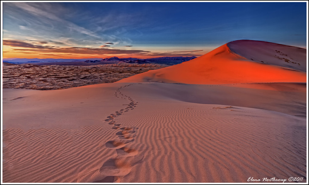 Kelso Dunes